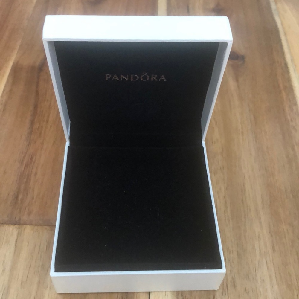 Pandora bracelet case